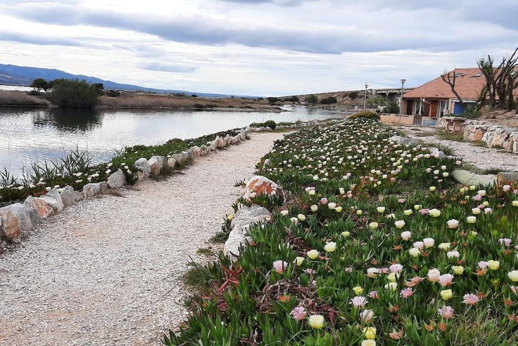 Maisonnette Entre Etang Et Plage Лекат Екстер'єр фото